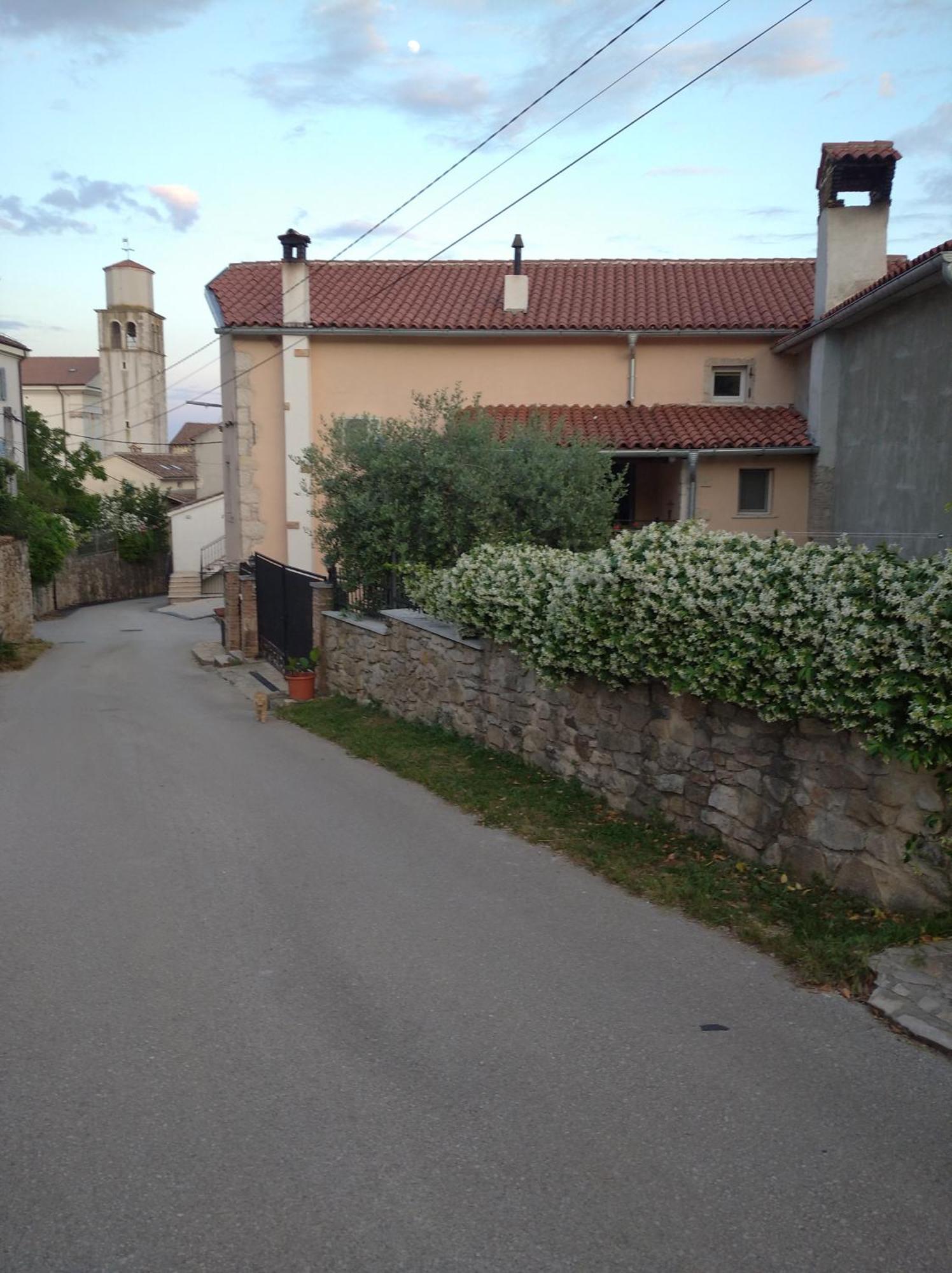 Vižinada Apartman Lari מראה חיצוני תמונה